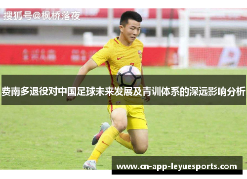 费南多退役对中国足球未来发展及青训体系的深远影响分析 费南多退役对中国足球未来发展及青训体系的深远影响分析