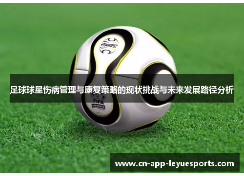 足球球星伤病管理与康复策略的现状挑战与未来发展路径分析