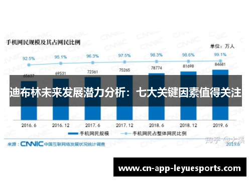 迪布林未来发展潜力分析：七大关键因素值得关注