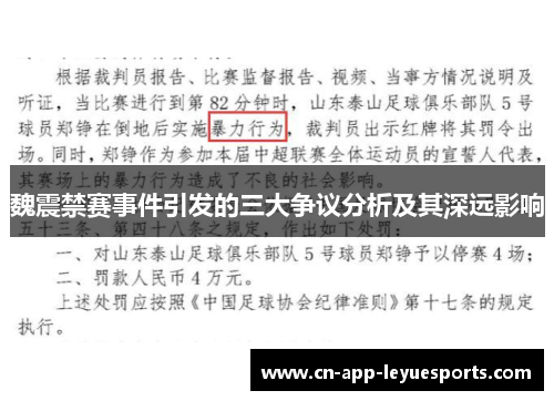 魏震禁赛事件引发的三大争议分析及其深远影响