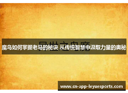 魔鸟如何掌握老马的秘诀 从传统智慧中汲取力量的奥秘