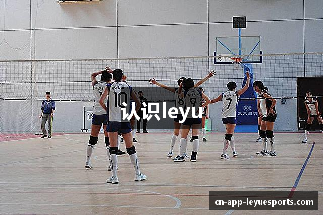 认识leyu